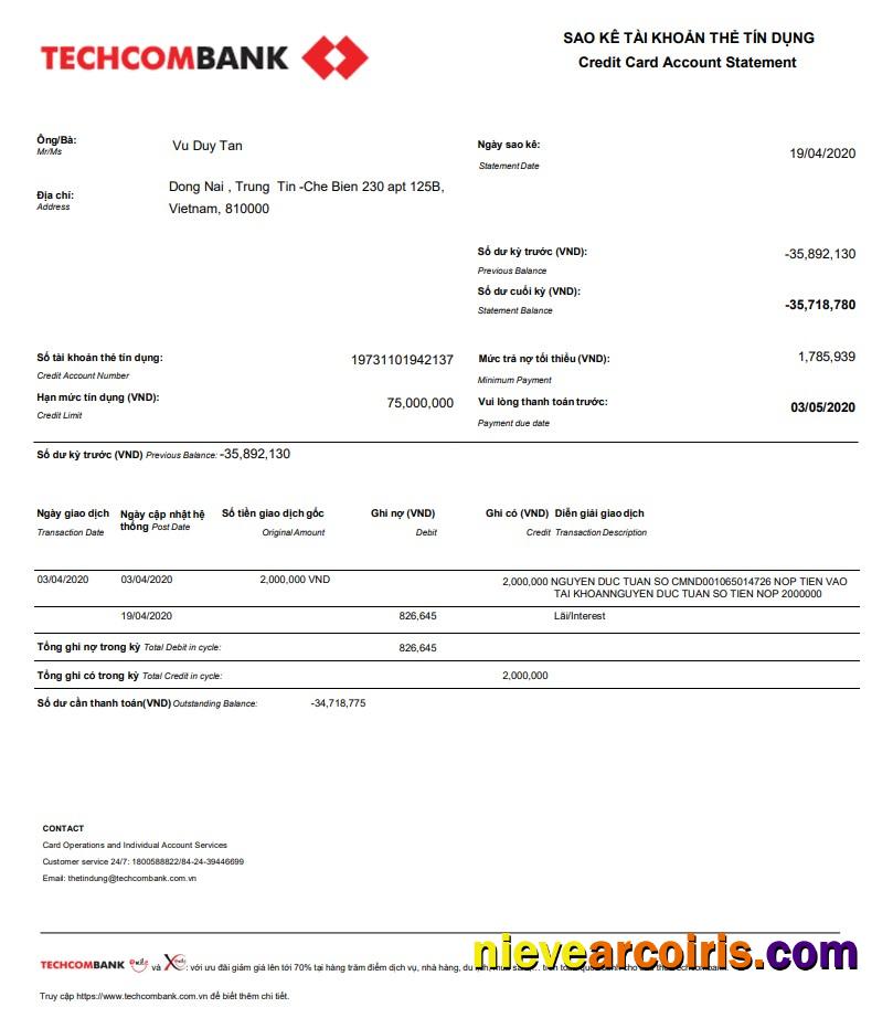 Vietnam Techcombank statement